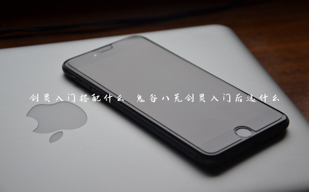 剑灵入门搭配什么 鬼谷八荒剑灵入门后选什么