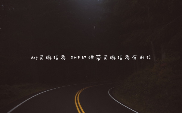 dnf灵魂猎者 DNF红眼带灵魂猎者有用没