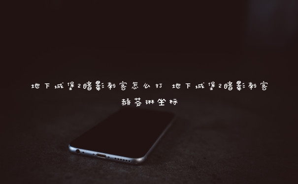 地下城堡2暗影刺客怎么打 地下城堡2暗影刺客赫芬琳坐标 地下城堡2暗影刺客怎么打 地下城堡2暗影刺客赫芬琳坐标