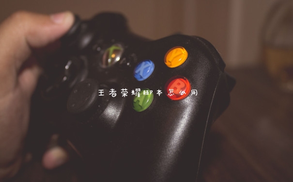 王者荣耀脚本怎么用