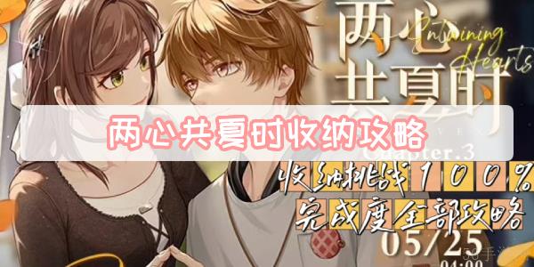 两心共夏时收纳攻略