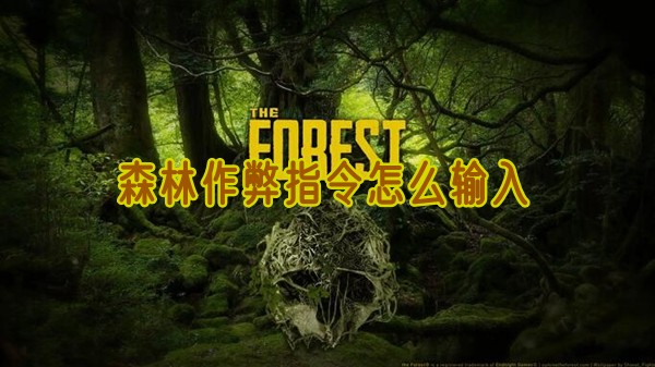 森林作弊指令怎么输入