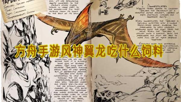 方舟手游风神翼龙吃什么饲料