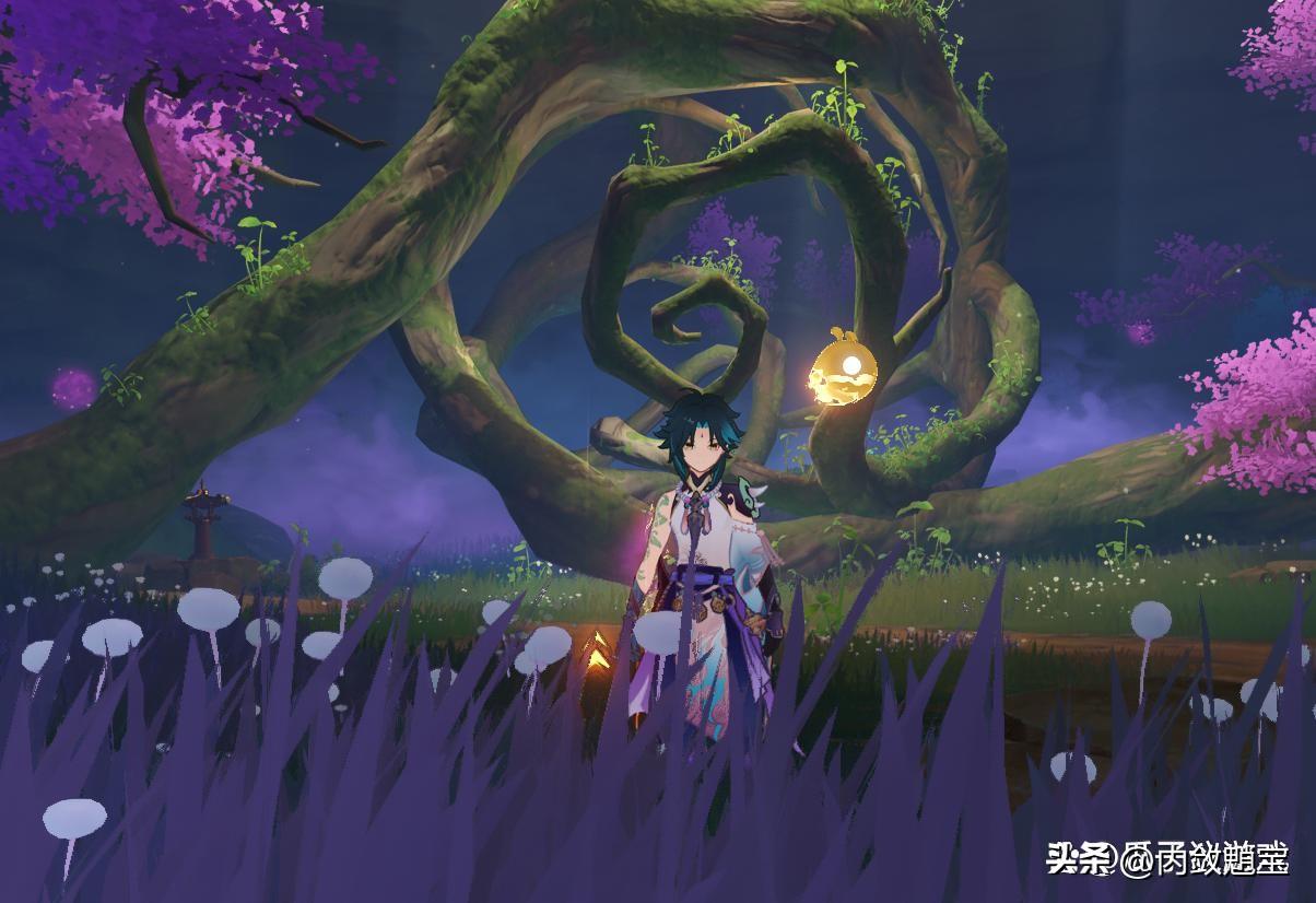 神樱大祓三个位置镇守之森解密(原神神樱大祓世界任务详解