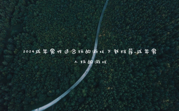 2024成年男性适合玩的游戏下载推荐_成年男人玩的游戏