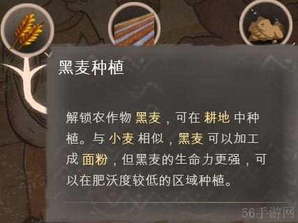 庄园领主发展科技树攻略