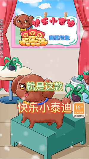 快乐小泰迪