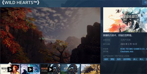 狂野之心在steam上叫什么名字-狂野之心steam商店英文名介绍