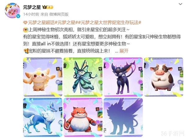 多个宠物公布