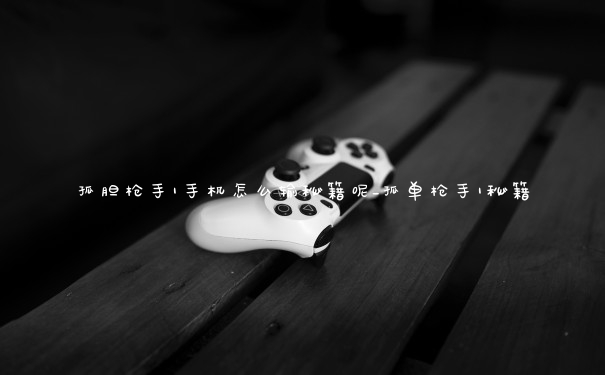 孤胆枪手1手机怎么输秘籍呢_孤单枪手1秘籍