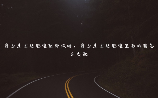 摩尔庄园肥肥馆配种攻略，摩尔庄园肥肥馆里面的猪怎么交配