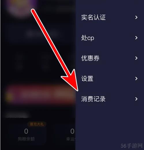 捞月狗app怎么查看个人信息 捞月狗查看自己的消费记录方法