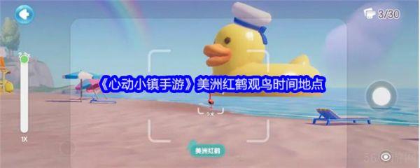 心动小镇手游美洲红鹤观鸟什么时候开始  心动小镇手游美洲红鹤观鸟时间地点