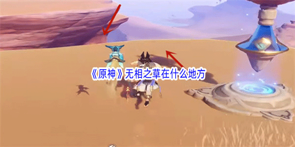 原神无相之草在什么位置