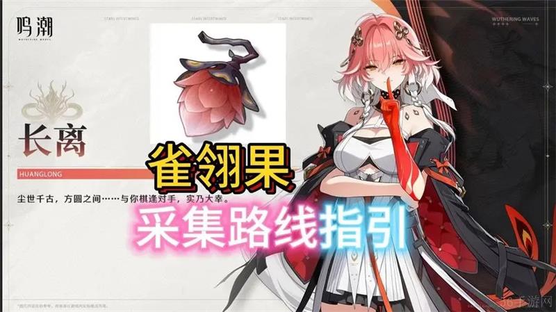 鸣潮雀翎果采集路线
