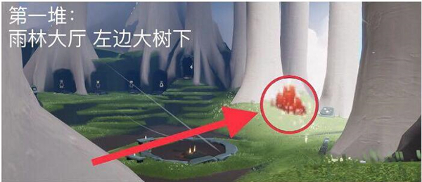 光遇8月1日大蜡烛分布地点