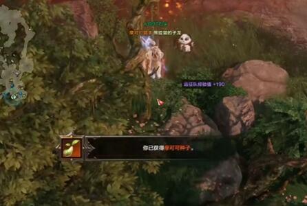 命运方舟风弥之丘摩可可位置介绍