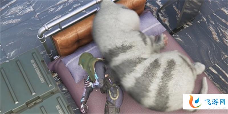 七日世界异维大猫怎么打