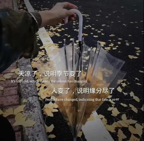 故事的开始：我会给你幸福 故事的结局：祝你幸福图片