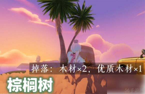 心动小镇椰子树在哪里 心动小镇树木位置大全