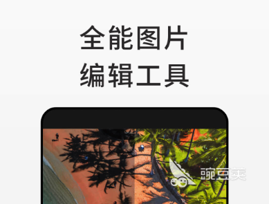 2022知识图谱用什么软件做出来的推荐 好用的知识图谱制作软件大全