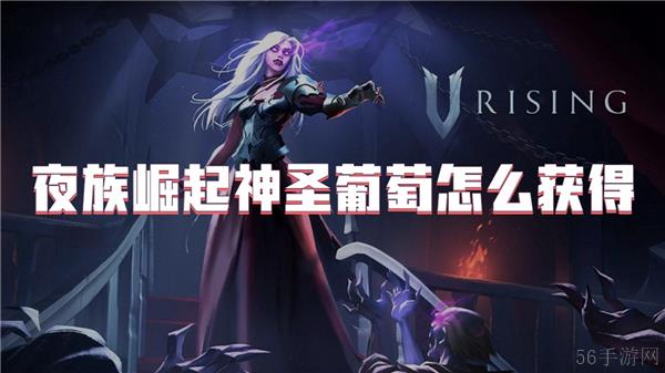 夜族崛起神圣葡萄怎么获得