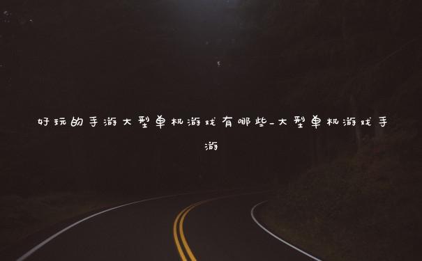 好玩的手游大型单机游戏有哪些_大型单机游戏手游