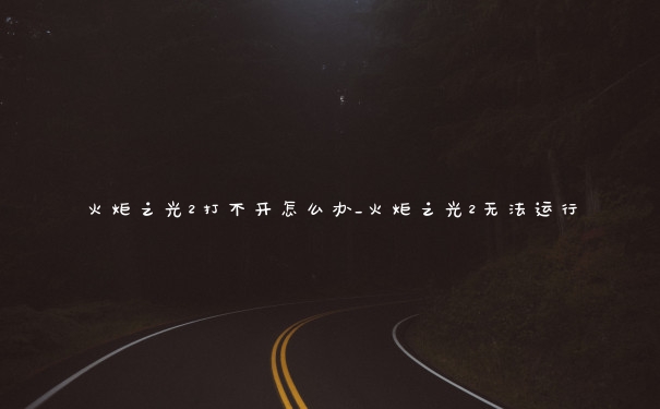 火炬之光2打不开怎么办_火炬之光2无法运行