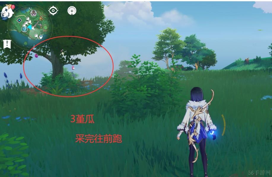原神4.6堇瓜获得方法
