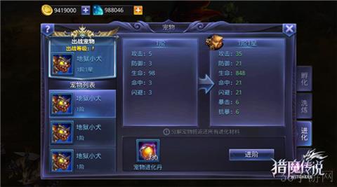 《猎魔传说》宠物系统新玩法与副本讲解