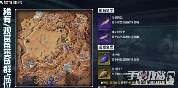 《星球重启》观赏鱼获得方法