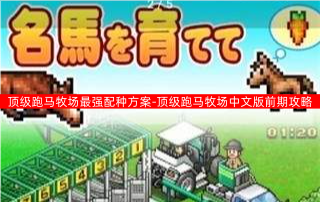 顶级跑马牧场最强配种方案