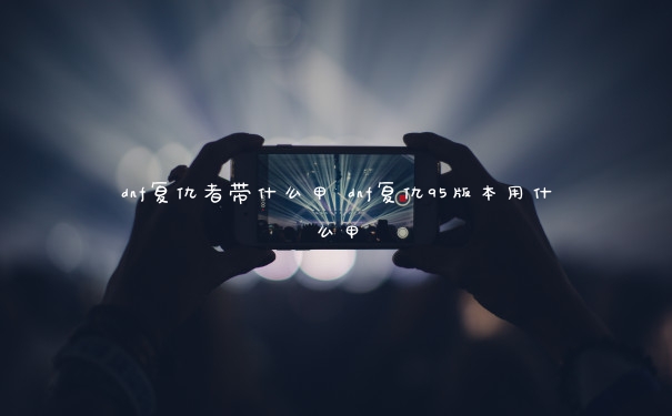 dnf复仇者带什么甲 dnf复仇95版本用什么甲