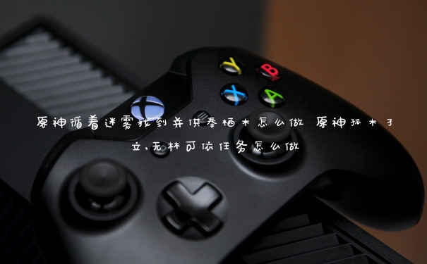 原神循着迷雾找到并供奉栖木怎么做 原神孤木孑立,无林可依任务怎么做