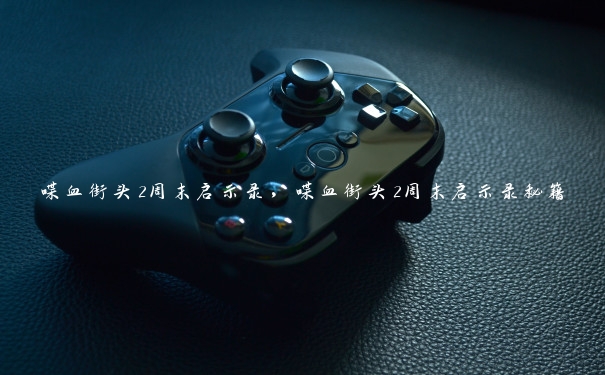 喋血街头2周末启示录，喋血街头2周末启示录秘籍