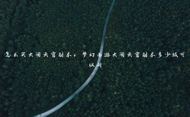 怎么买大闹天宫副本，梦幻西游大闹天宫副本多少级可以刷