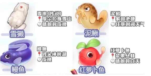 摩尔庄园夏日收集攻略