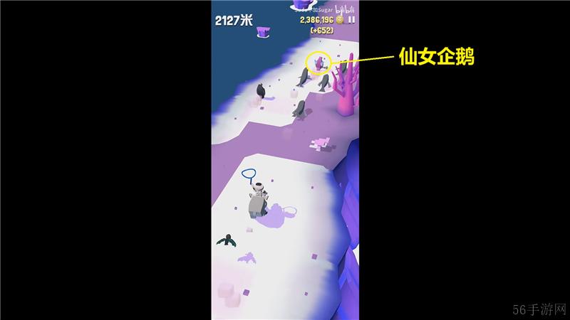 疯狂动物园极地特殊动物捕捉方法