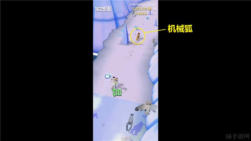 疯狂动物园极地特殊动物捕捉方法