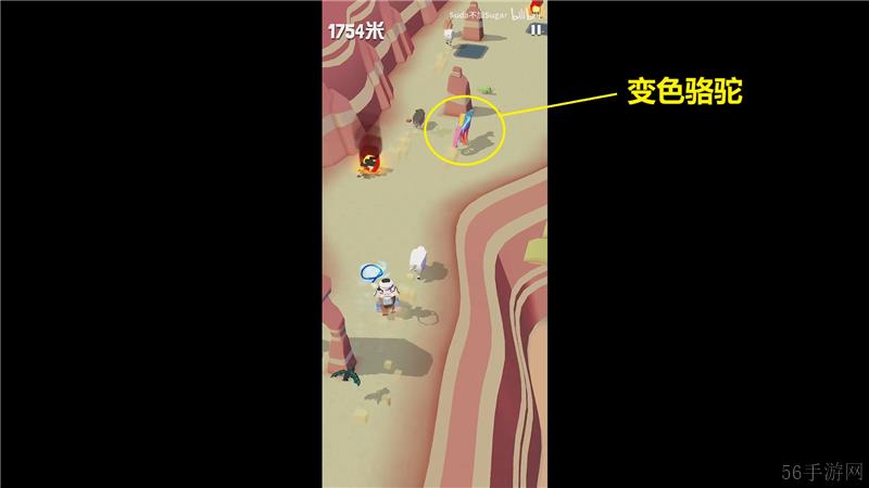 疯狂动物园澳洲特殊动物捕捉方法