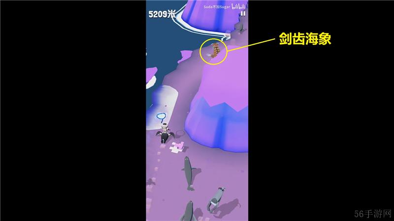 疯狂动物园极地特殊动物捕捉方法