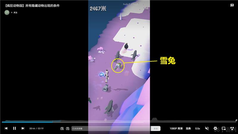 疯狂动物园极地特殊动物捕捉方法