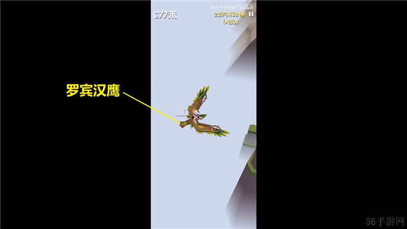 疯狂动物园山脉特殊动物捕捉方法