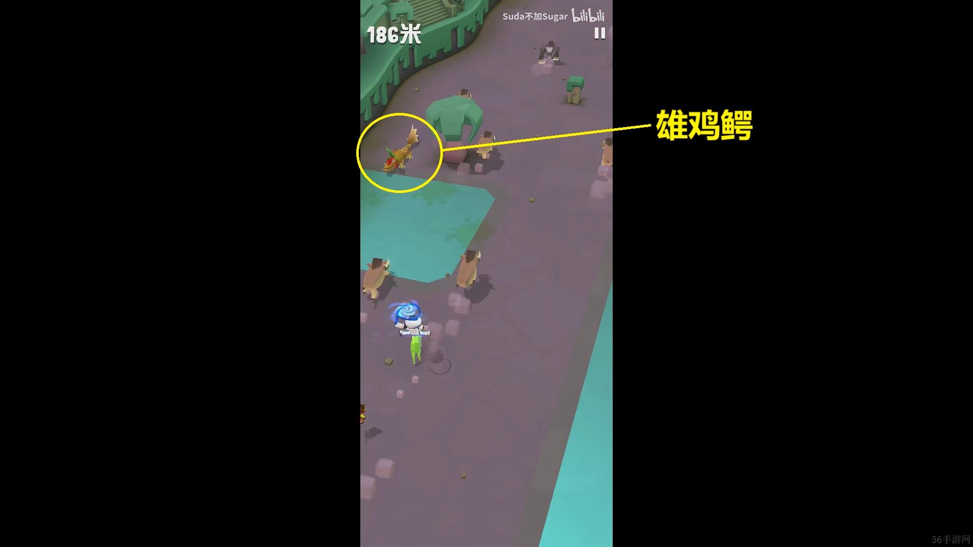 疯狂动物园丛林特殊动物捕捉方法