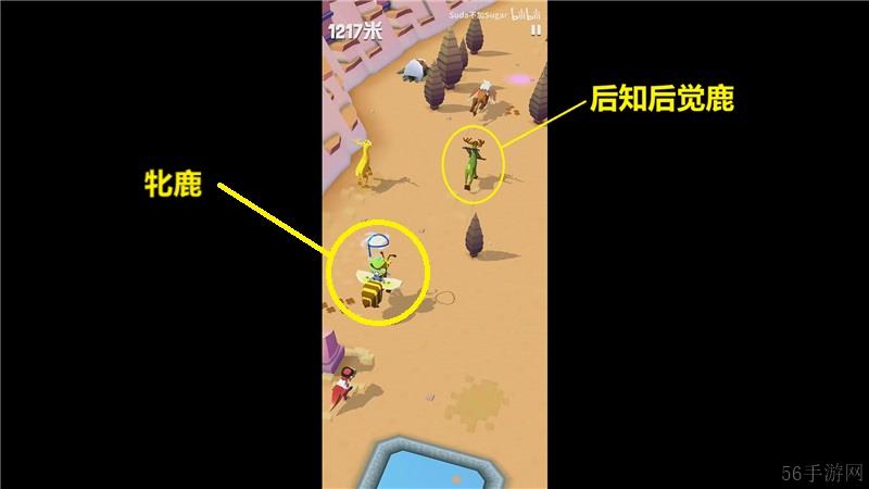 疯狂动物园奥林匹斯山特殊动物捕捉方法