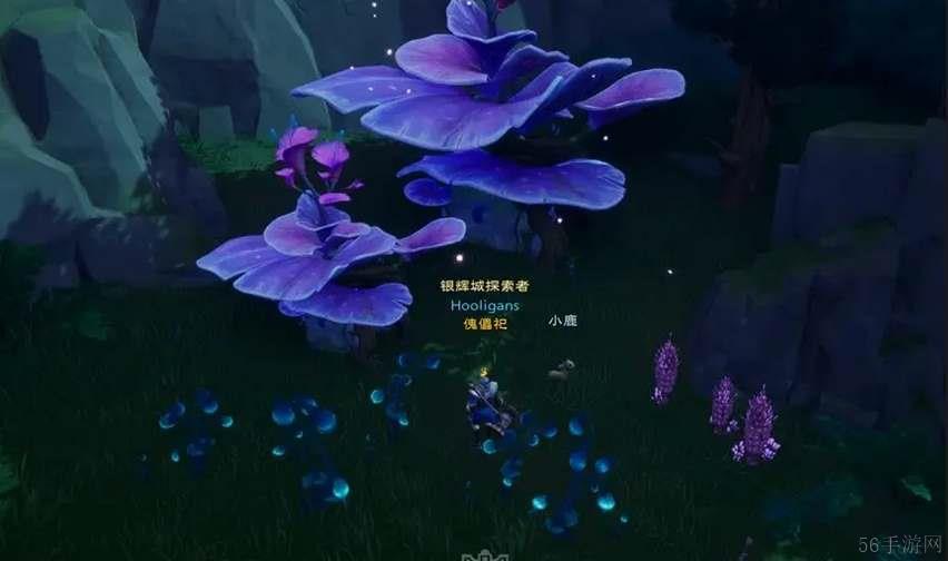 塔瑞斯世界迷雾森林宝箱及钥匙位置一览