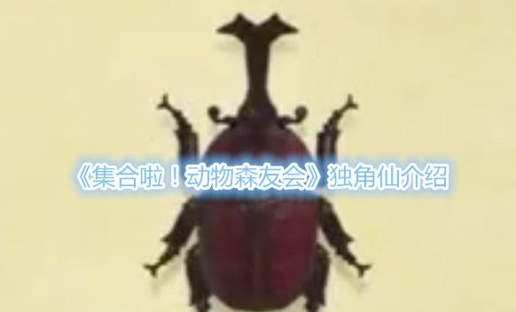 动物森友会独角仙什么时候活动