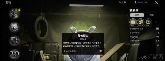 萤火突击爱丽丝实用性分析