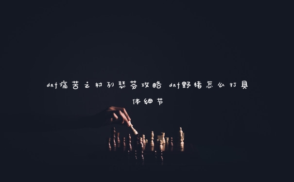 dnf痛苦之村列瑟芬攻略 dnf野猪怎么打具体细节