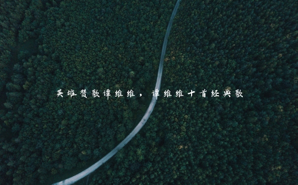 英雄赞歌谭维维，谭维维十首经典歌